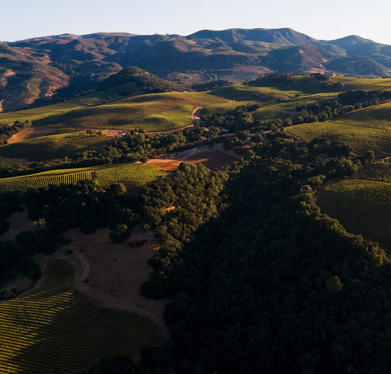 Our vineyards image
