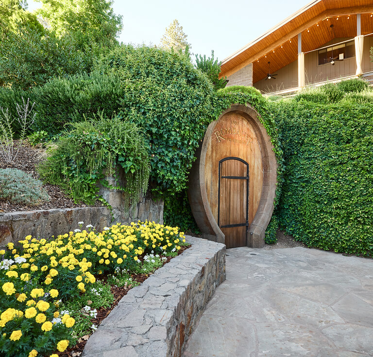 Our vineyards image