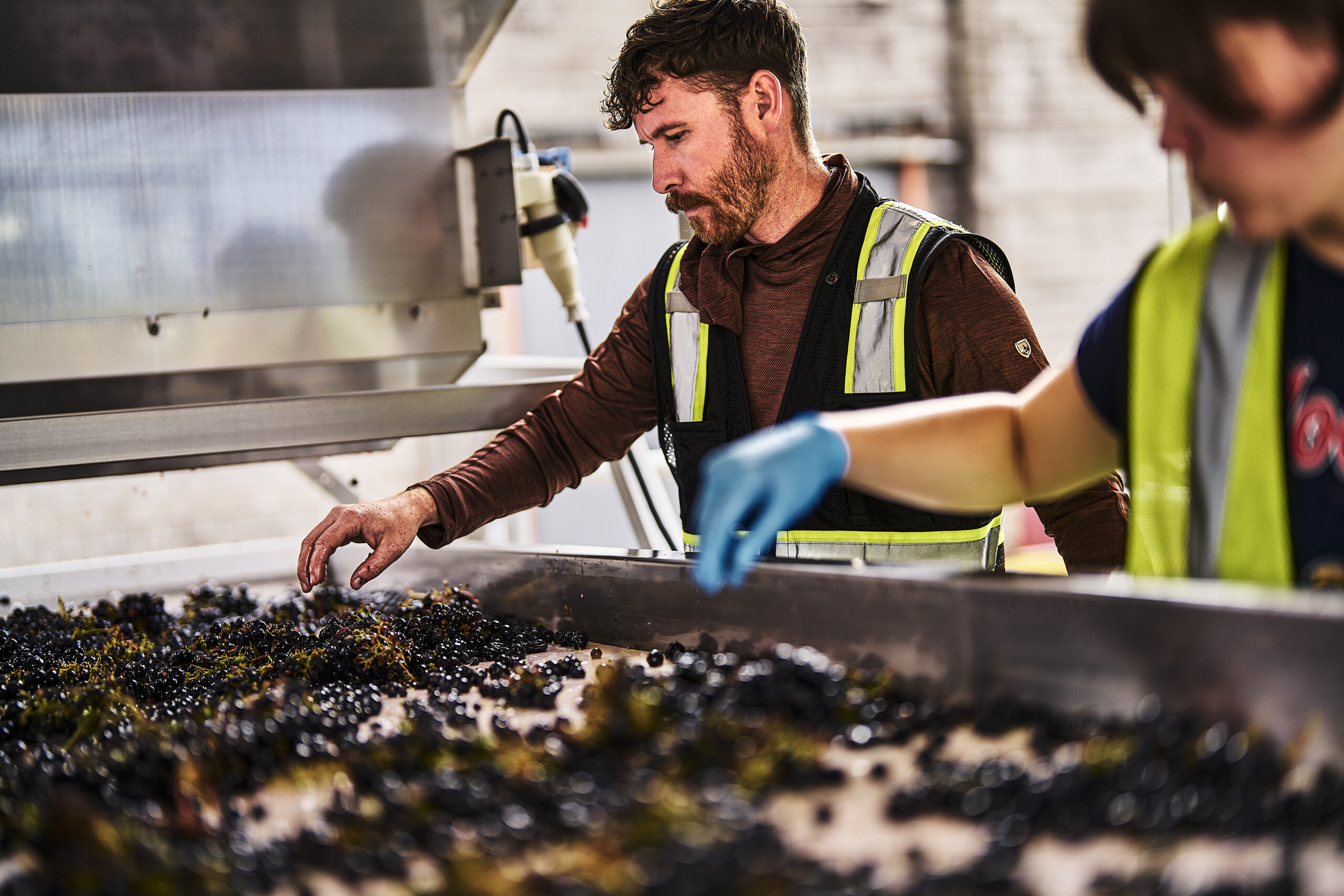 Beverage Making & Winegrowing image